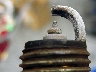 CIMG6007.JPG