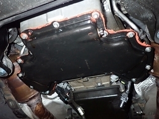 OI000427.jpg