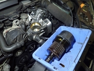 OI000432.jpg