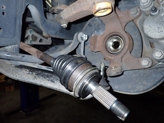 OI001073.jpg