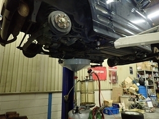 OI001087.jpg