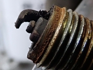 OI001652.jpg