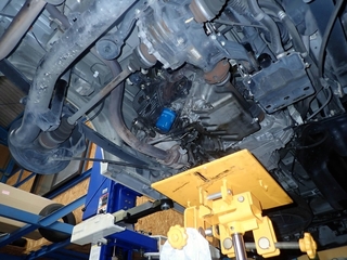 OI004999.jpg