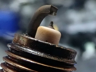 OI005032.jpg
