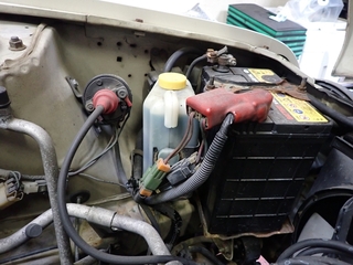P4140043.JPG