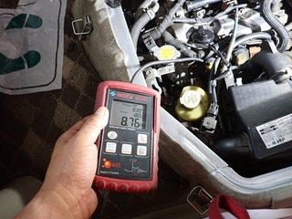 P7200009_1.JPG