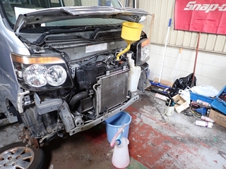 P7200014_1.JPG