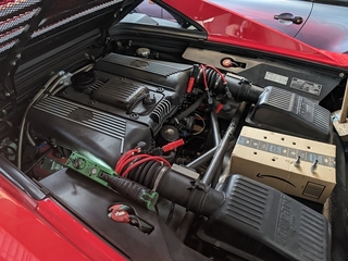 PXL_20240611_072901459.MP.jpg